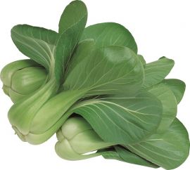 PAK CHOI - Hybrid F1 - Green fortune (chinese cabbage)