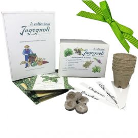 INGEGNOLI COLLECTIONS - OUR FAMOUS VARIETIES