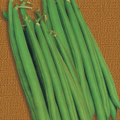 POLE BEAN  - BOBIS A GRANO NERO -