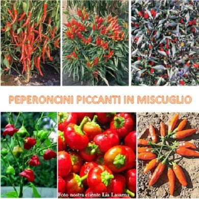 PEPERONCINI PICCANTI in miscuglio