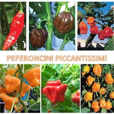 PEPERONCINI PICCANTISSIMI in miscuglio