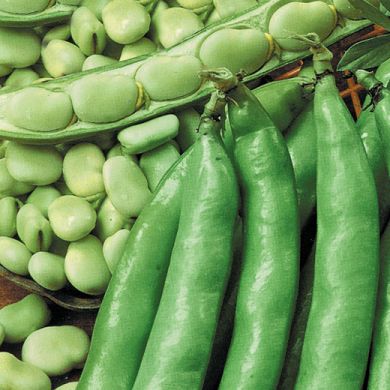 FAVA BEAN - AGUADULCE SUPERSIMONIA BIO