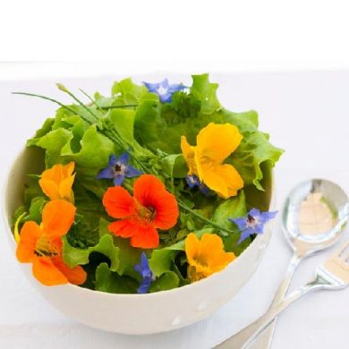 EDIBLE FLOWER MIX