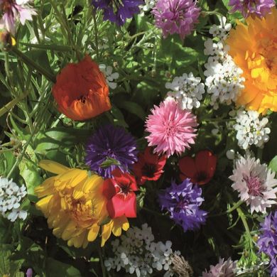 BALCONY FLOWER MIX