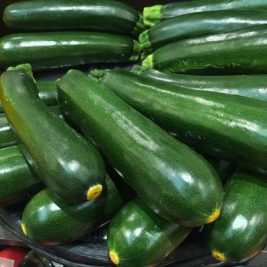 ZUCCHINO - NANO VERDE DI MILANO -  (MIGLIORATO D' INGEGNOLI)