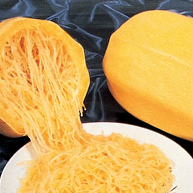 WINTER SQUASH - VEGETABLE SPAGHETTI - 