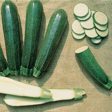 ZUCCHINO HYBRID F1 - PRESIDENT -