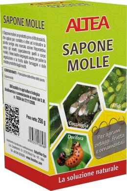 SAPONE MOLLE 