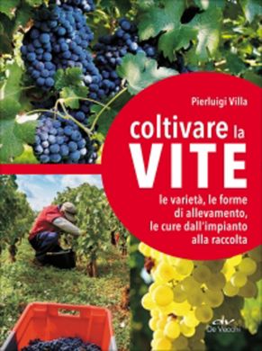 LA VITE VARIETA', IMPIANTO E POTATURA
