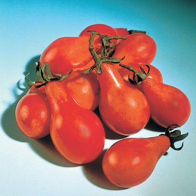 TOMATO - RED  PEAR -