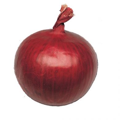 ONION - TROPEA ROSSA TONDA RECORD - ORGANIC