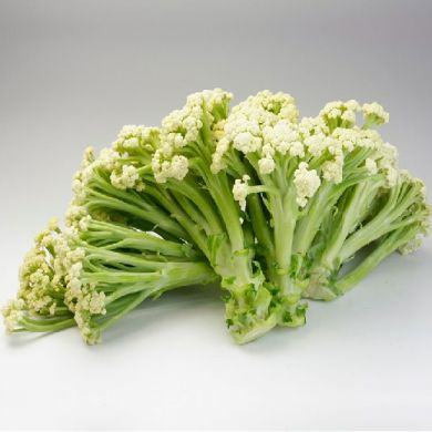 CAULIFLOWER HYBRID F1  -FIORETTO-