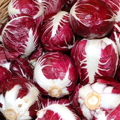 cicoria rossa tonda in un cesto di vimini