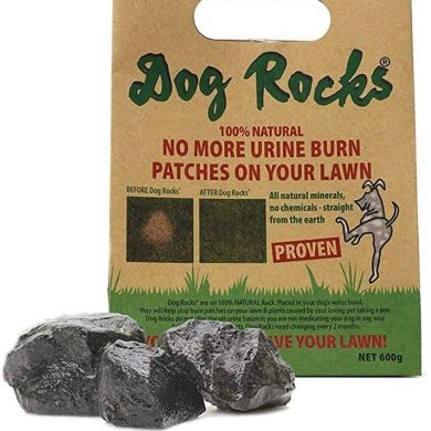 DOG ROCKS