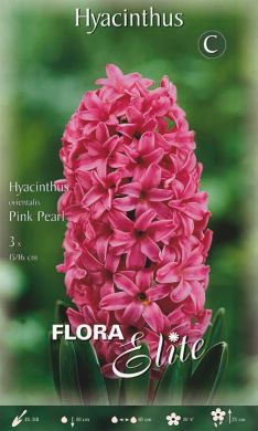 GIACINTO -PINK PEARL-