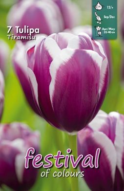 Confezione di bulbi di tulipano Triumph in vendita online
