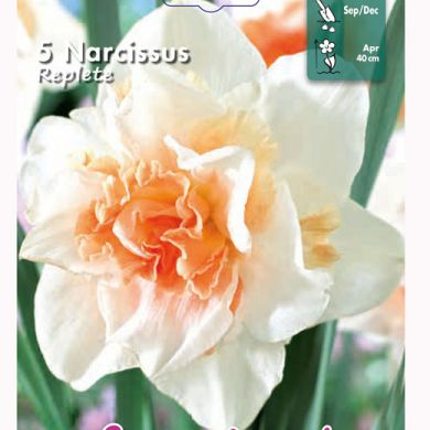 NARCISO A FIORE DOPPIO -REPLETE-
