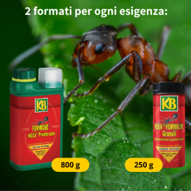 INGEGNOLI ESCA FORMICHE GRANULI AZIONE RAPIDA