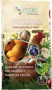 POLLINA