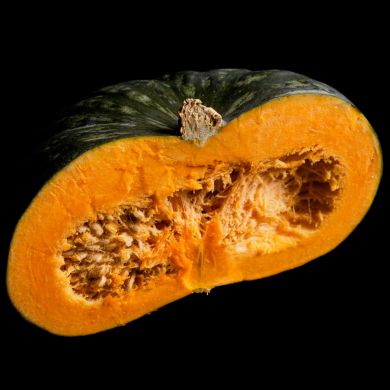 PUMPKIN HYBRID F1 - ZUCCURI’ -