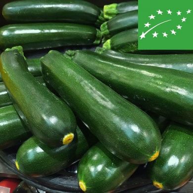 ZUCCHINO - NANO VERDE DI MILANO (MIGLIORATO D' INGEGNOLI) - BIO