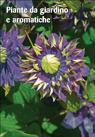 Sfoglia Catalogo - Ingegnoli